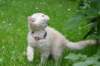 peluche_small.jpg