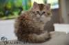 uschy1407202310_small.jpg