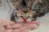 uschy230520233_small.jpg