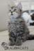 utred170720231_small.jpg