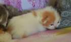 semaines08033_small.jpg