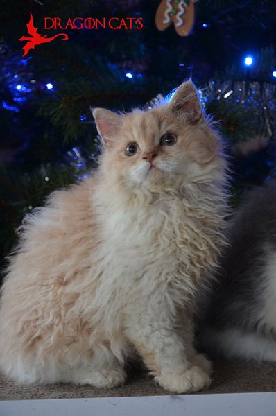 DSC_7508.jpg