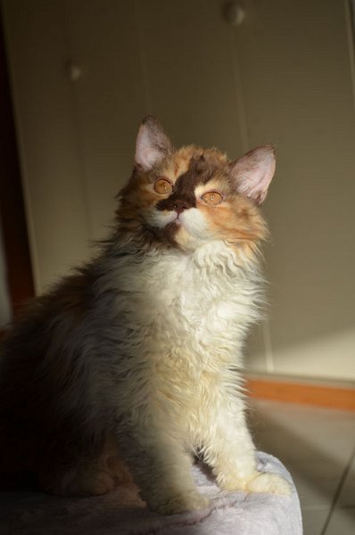 DSC_8163.jpg