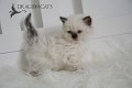 Sonja-22-aout-2021-(33)