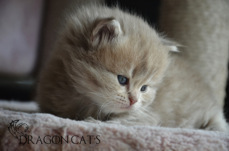 Voltaire-02-mars-2024-(35).jpg